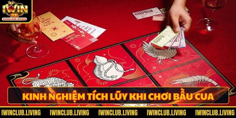 Kinh nghiệm tích lũy khi chơi tựa game